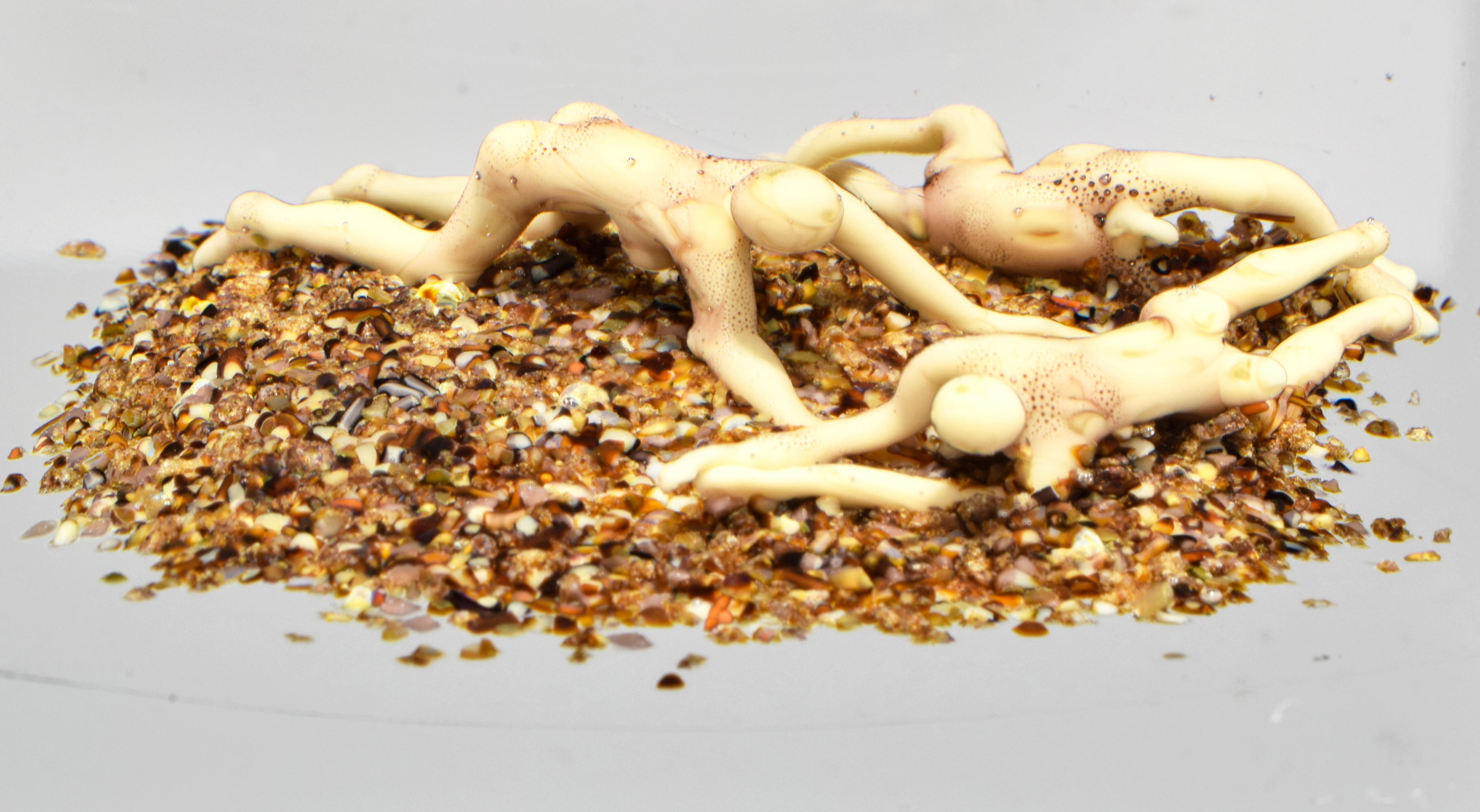 Presse-papiers Root People de Paul J. Stankard en vente 1
