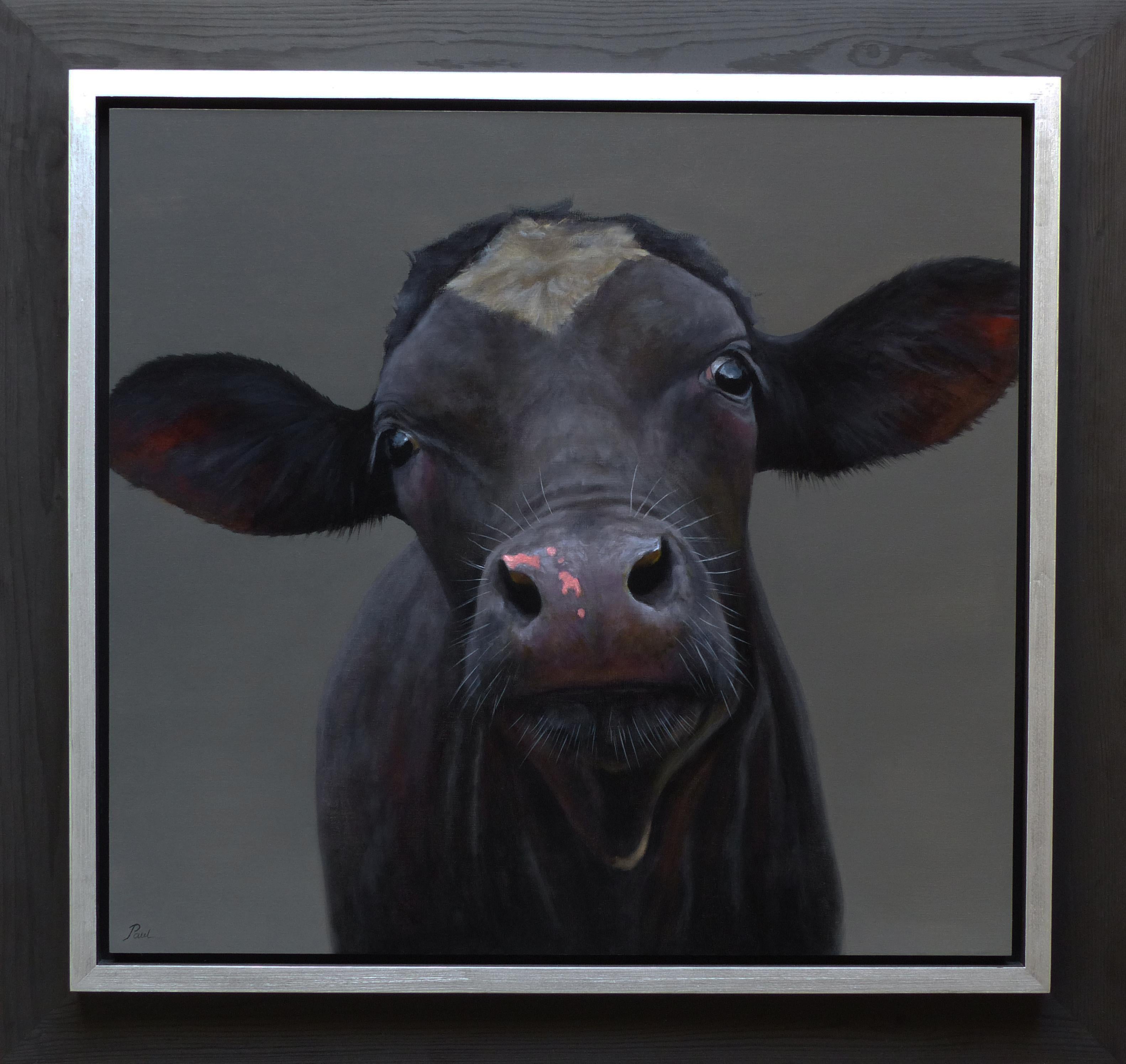 Paul Jansen Animal Painting - "Black Calf" Contemporary Dutch Oil Painting of a Black Calf, Cow Portrait