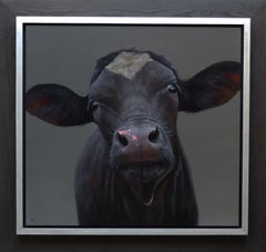"Black Calf" Contemporary Dutch Oil Painting of a Black Calf, Cow Portrait