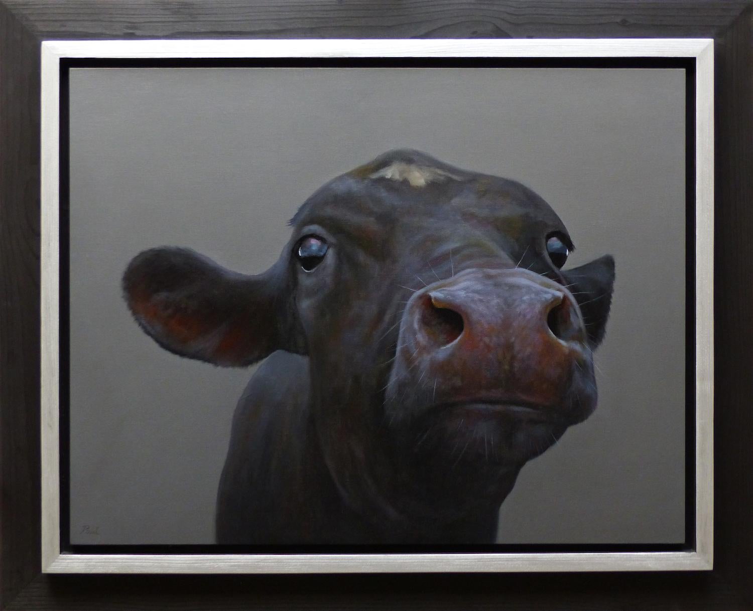 Paul Jansen Animal Painting - "Black Calf" Contemporary Dutch Oil Painting of a Cow