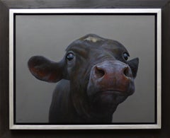 "Black Calf" Contemporary Dutch Oil Painting of a Cow