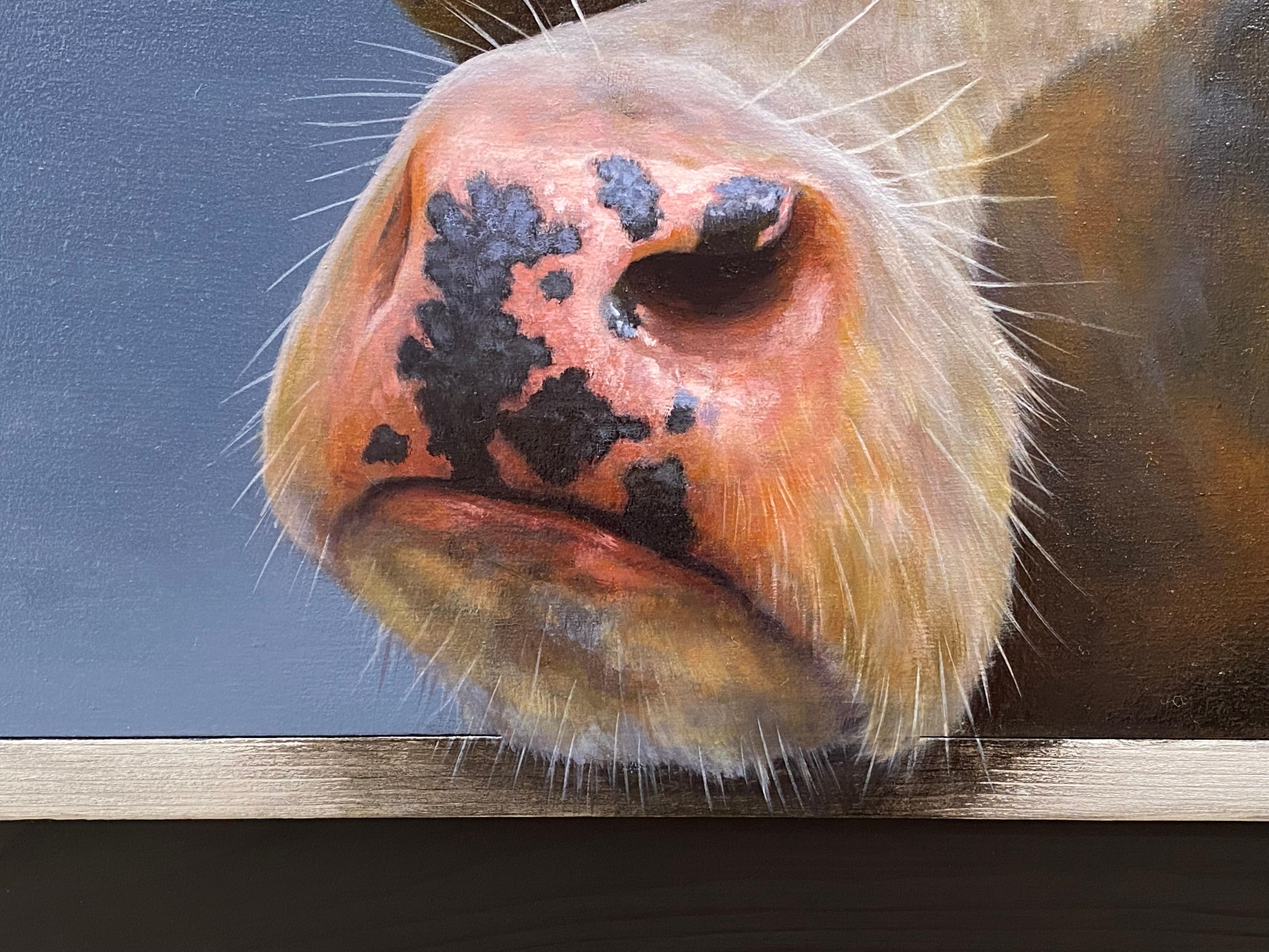 Ein Gemälde von Paul Jansen
Neugierig 
39 x 50 cm
mit Rahmen (inklusive) 50 x 63 cm
Öl auf Holzplatte

Der niederländische Künstler Paul Jansen malt am liebsten Kuhporträts. Jansen sucht nach Kühen, untersucht alle Arten an allen möglichen Orten.