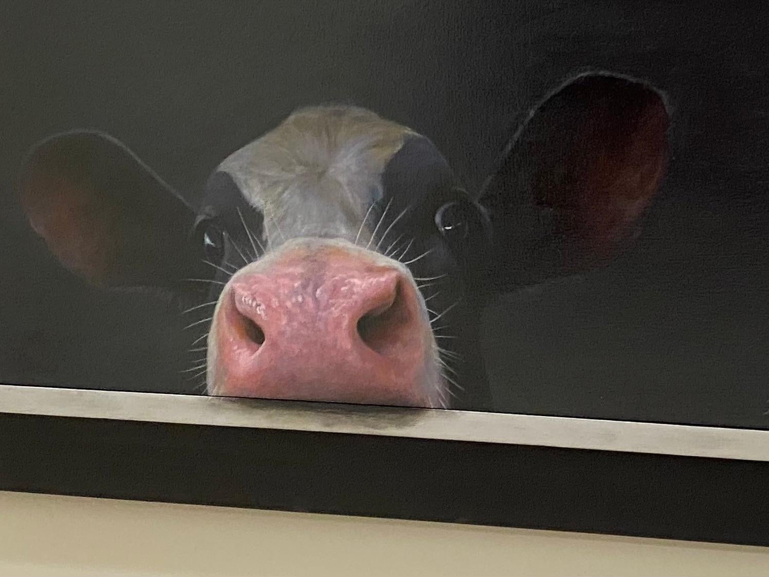 Curious Calf- 21st Century Dutch Contemporary Portrait Painting of a Calf For Sale 2