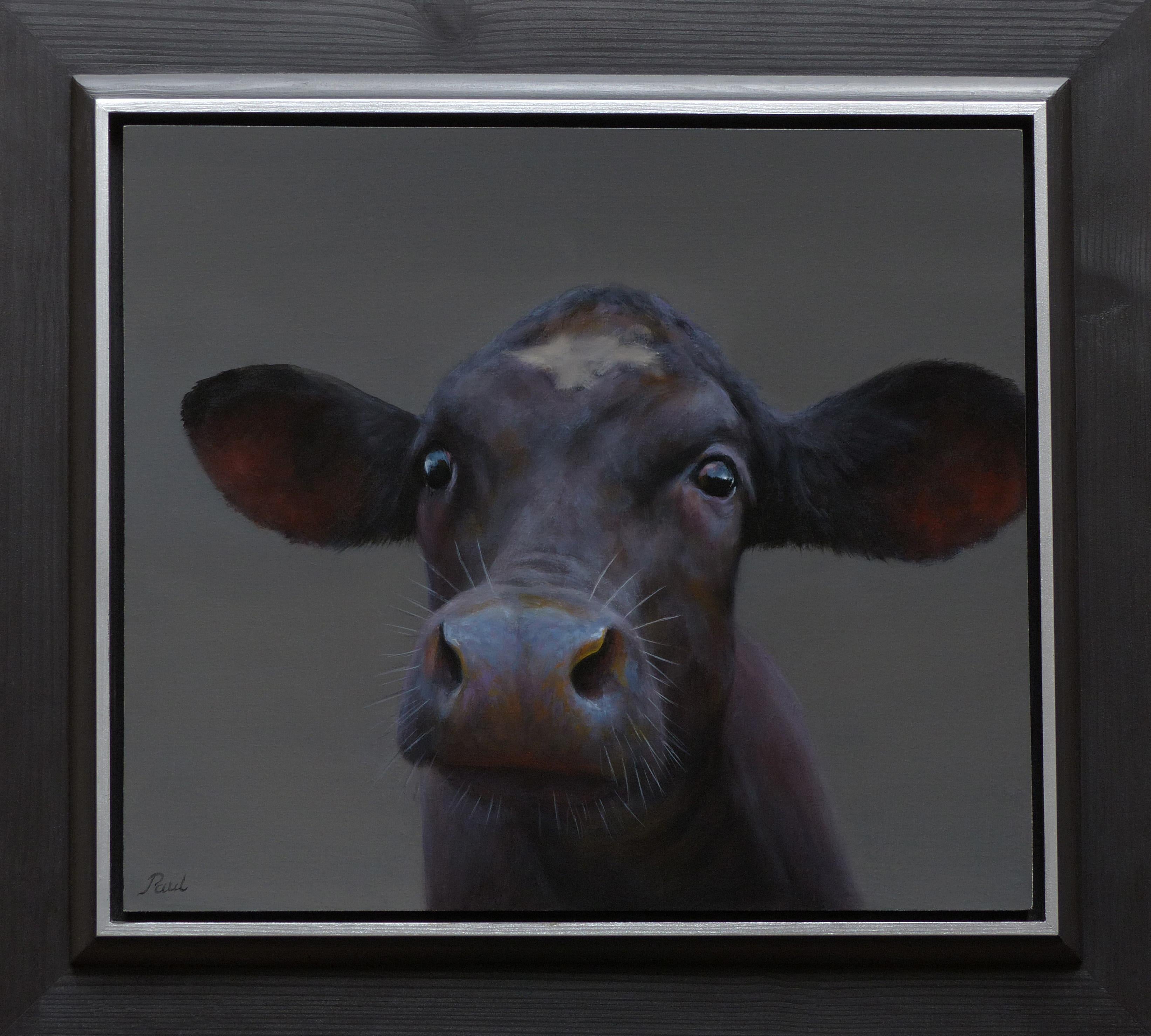 Paul Jansen Figurative Painting - "Little Black Calf" Contemporary Dutch Oil Painting of a Calf, Cow Portrait