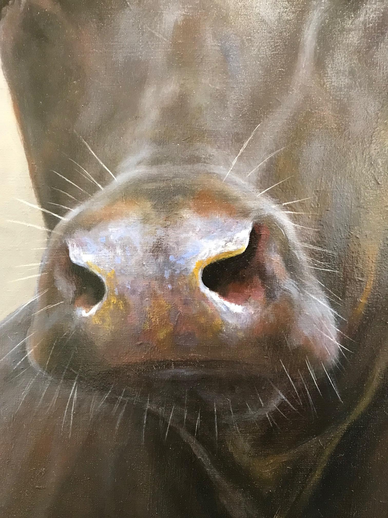 Portrait 431 Peinture à l'huile contemporaine néerlandaise d'un veau, vache - Noir Animal Painting par Paul Jansen
