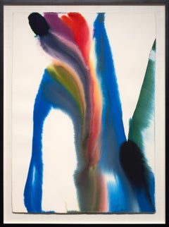 Des chutes de la Procession phénoménale