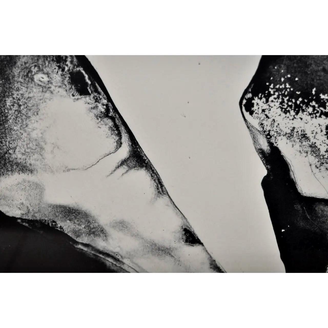 Paul Jenkins Black and White Abstract Lithograph For Sale 4