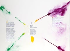 Euphories de la Couleur, Lithograph by Paul Jenkins, Andre Verdet Poems