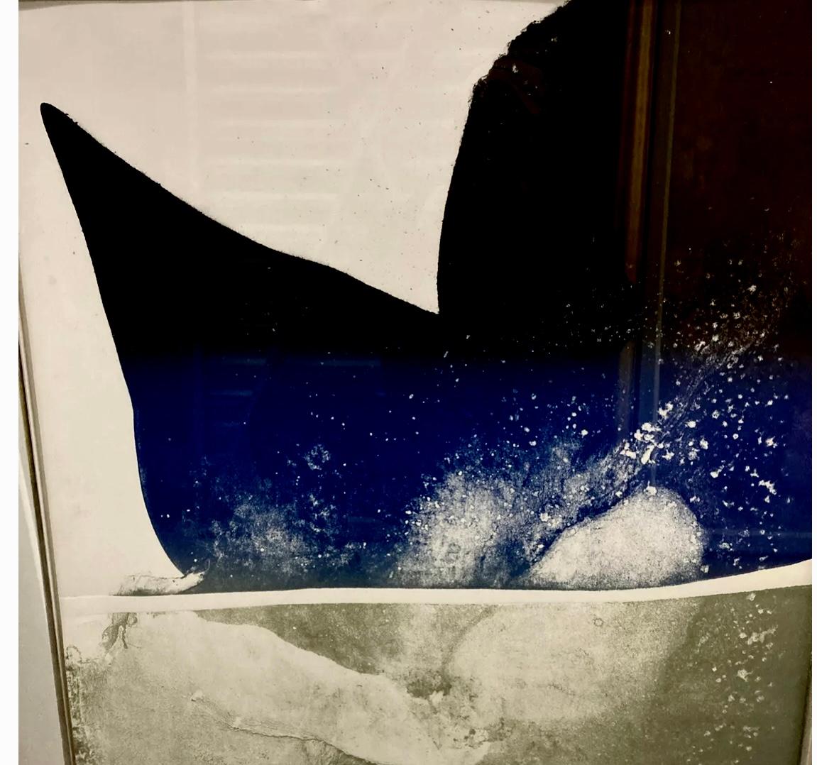 “Moby dick” 2