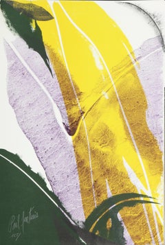 Seeing Voices 5, Abstract Lithograph by Paul Jenkins