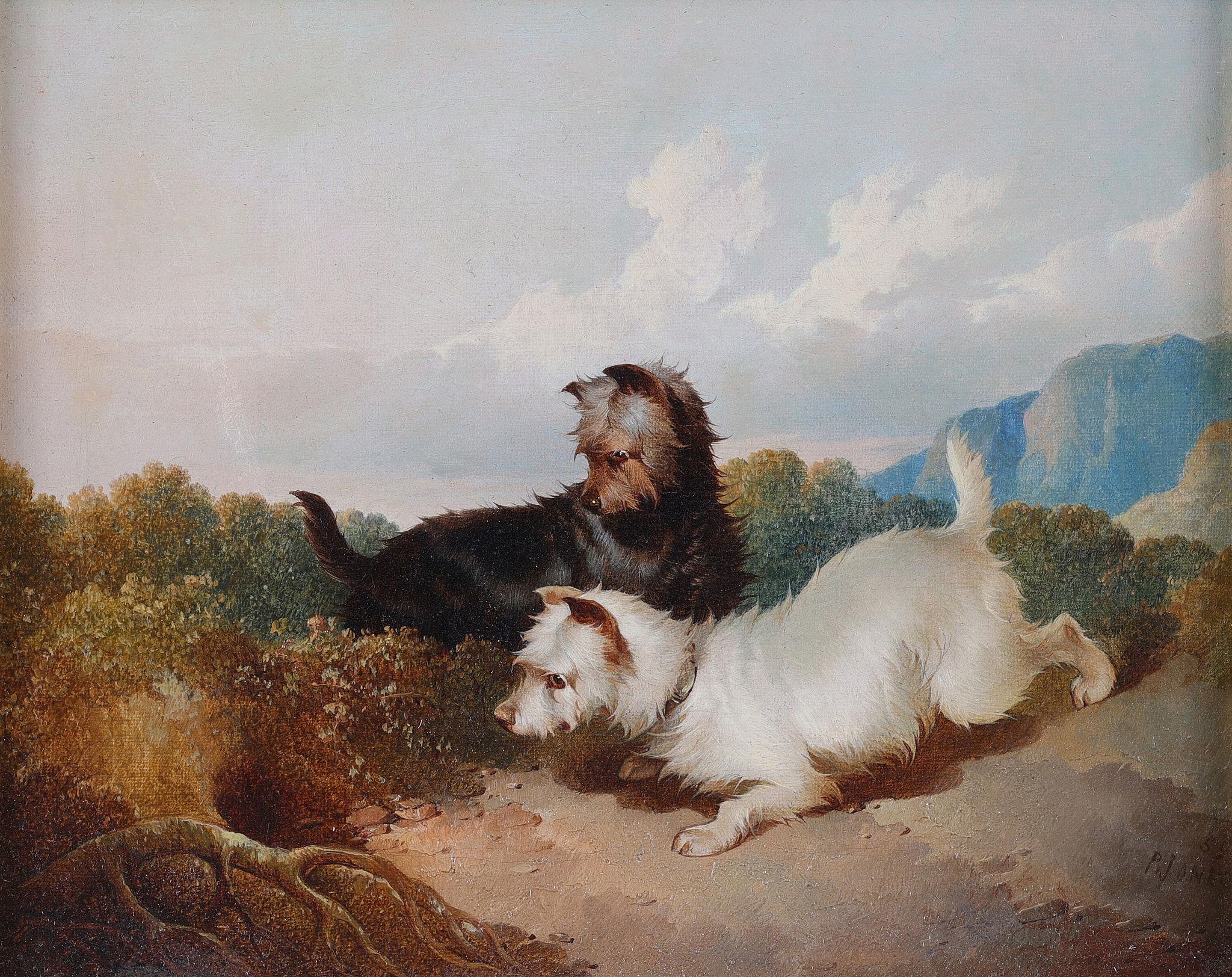 Two Terrier Dogs - Painting by Paul Jones 1834