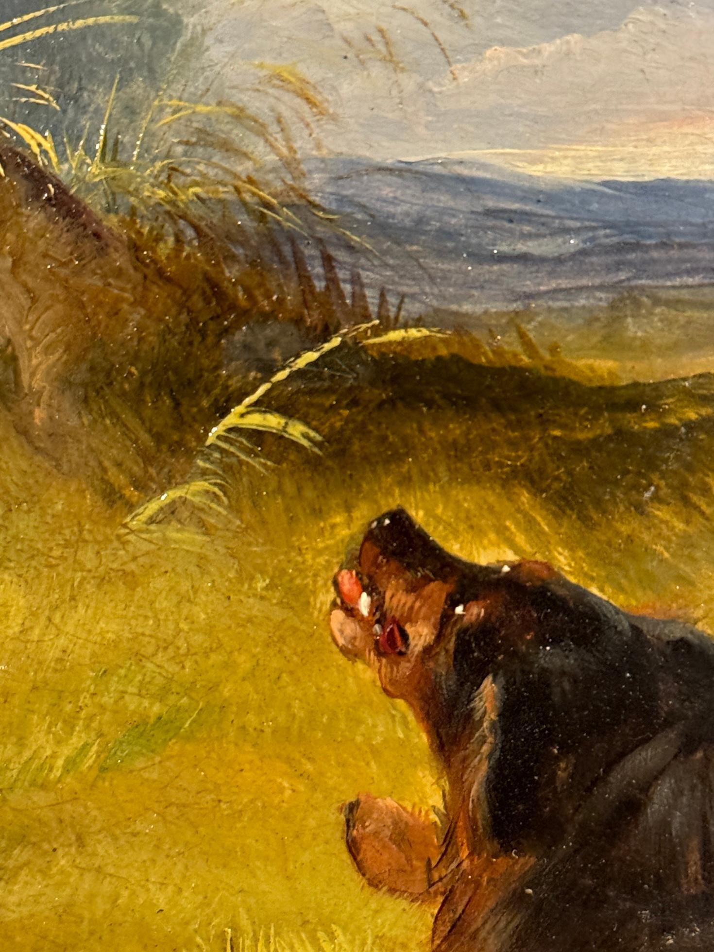 This 19th-century English painting by Paul Jones, depicting a scene of Spaniels chasing a pheasant in a lush landscape, is a perfect example of classic sporting art that captures the energy, grace, and excitement of the hunt. The artist’s detailed