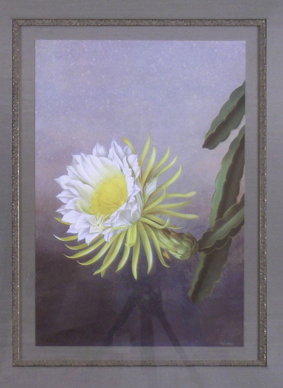 night blooming cereus for sale near me