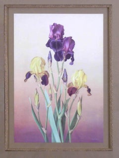 Iris -- Staten Island and Sable Night