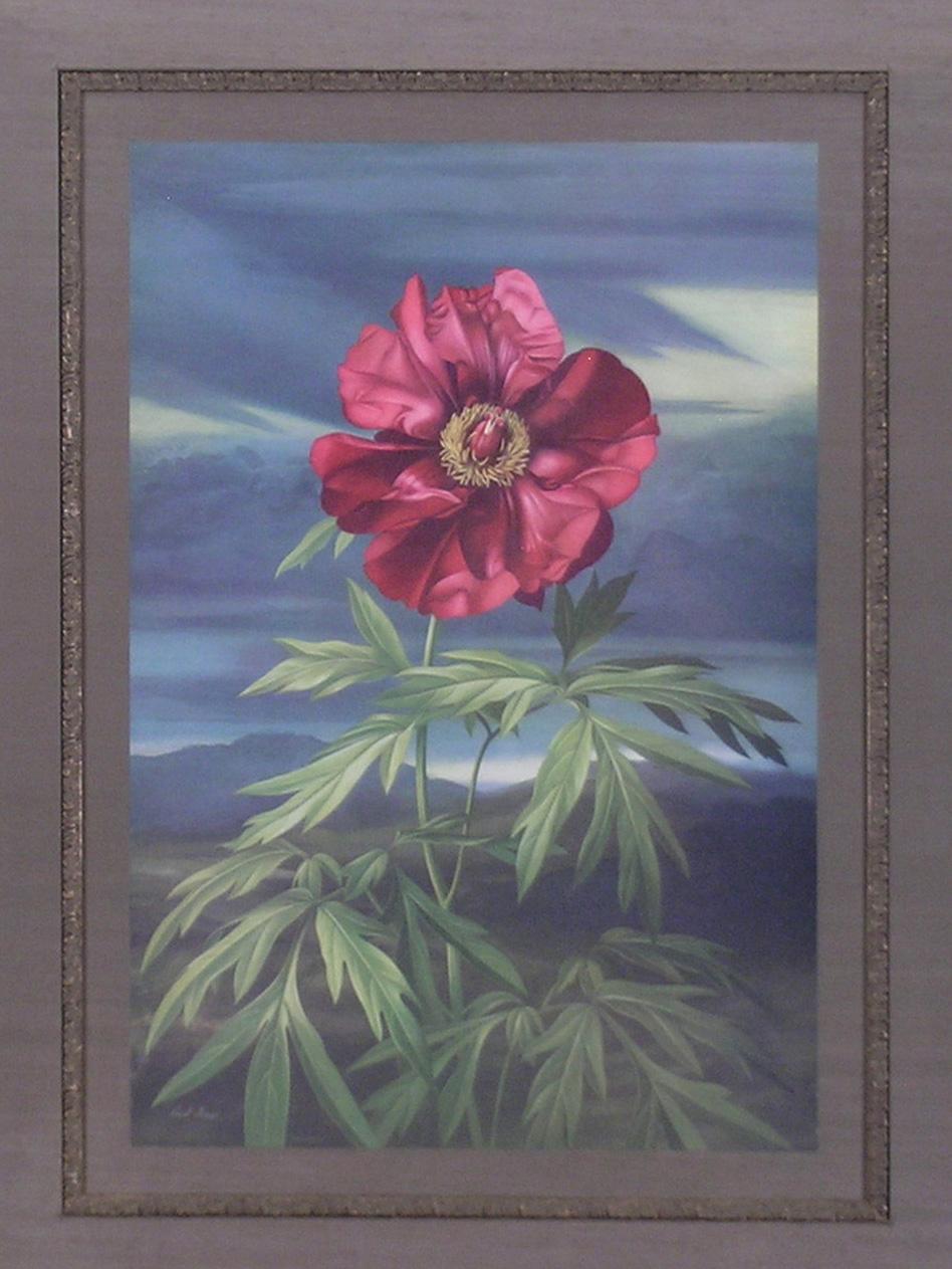 paul jones peony