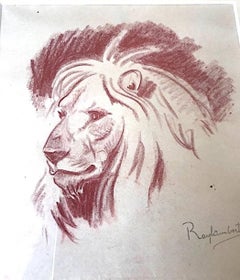Paul Jouve Period Original French Drawing Most of Lion by Raylambert , 1940