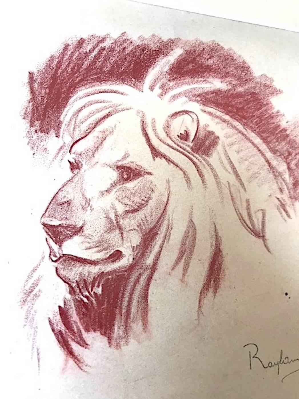 Art Deco Paul Jouve Period Original French Drawing Most of Lion by Raylambert , 1940