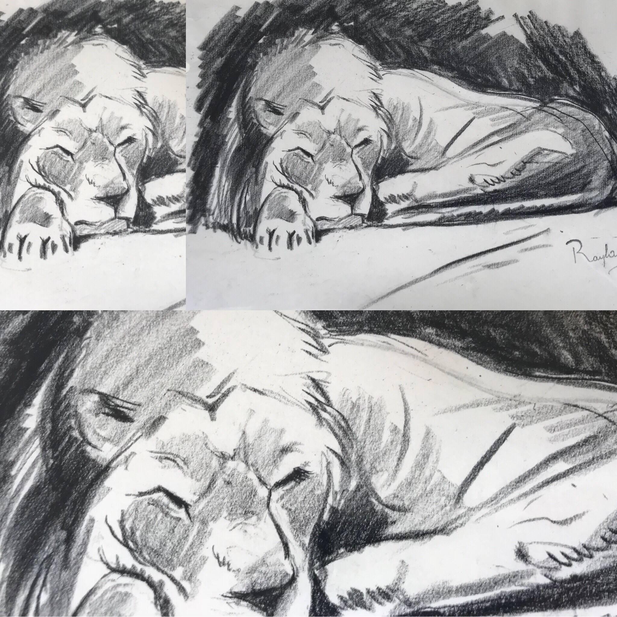 Paul Jouve Period  4  Original French Drawing Most of Lion by Raylambert, 1940 In Excellent Condition In Denia, ES