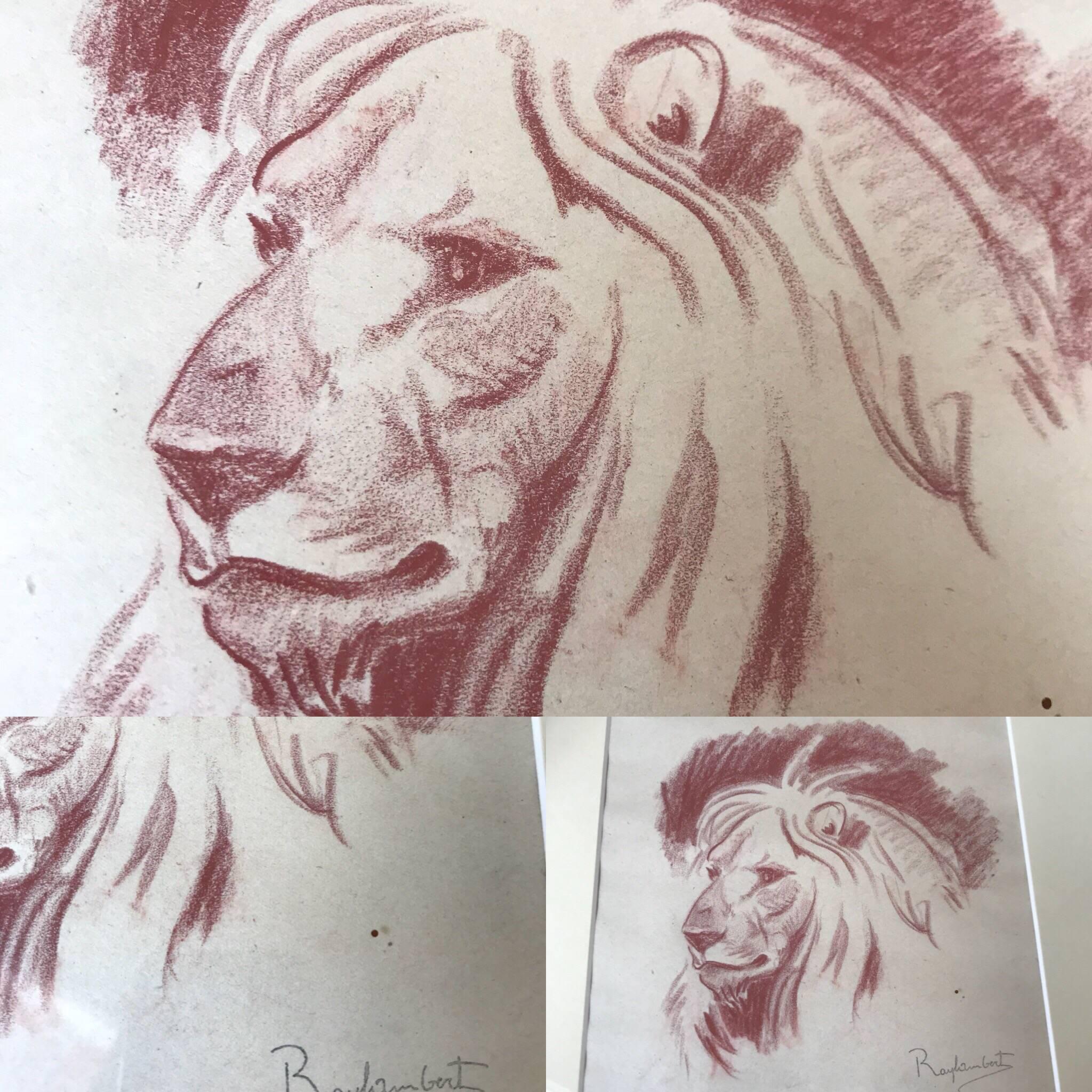 Paper Paul Jouve Period  4  Original French Drawing Most of Lion by Raylambert, 1940