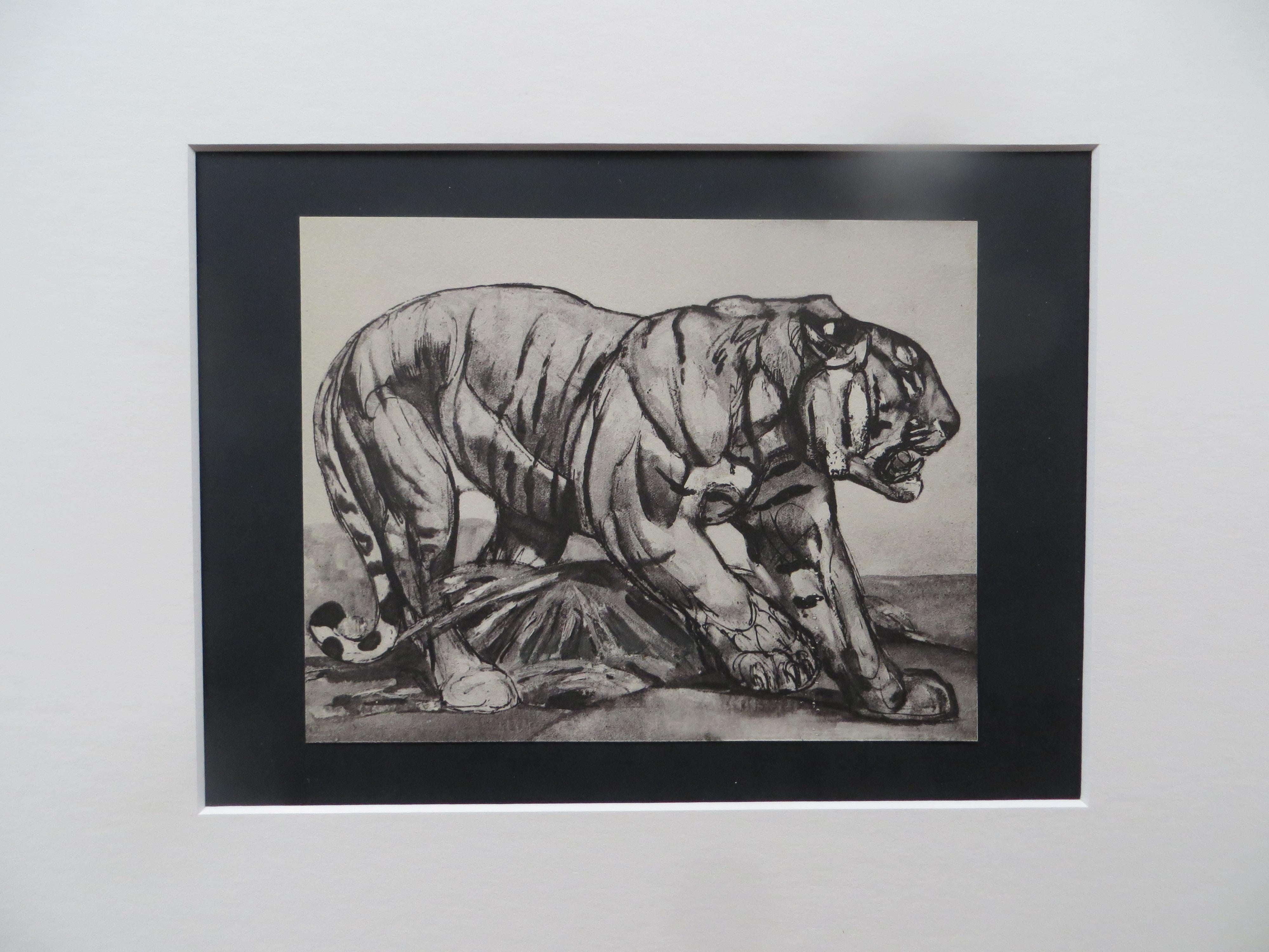Tiger Walking, Original Lithograph Illustration by Paul Jouve, 1948 3