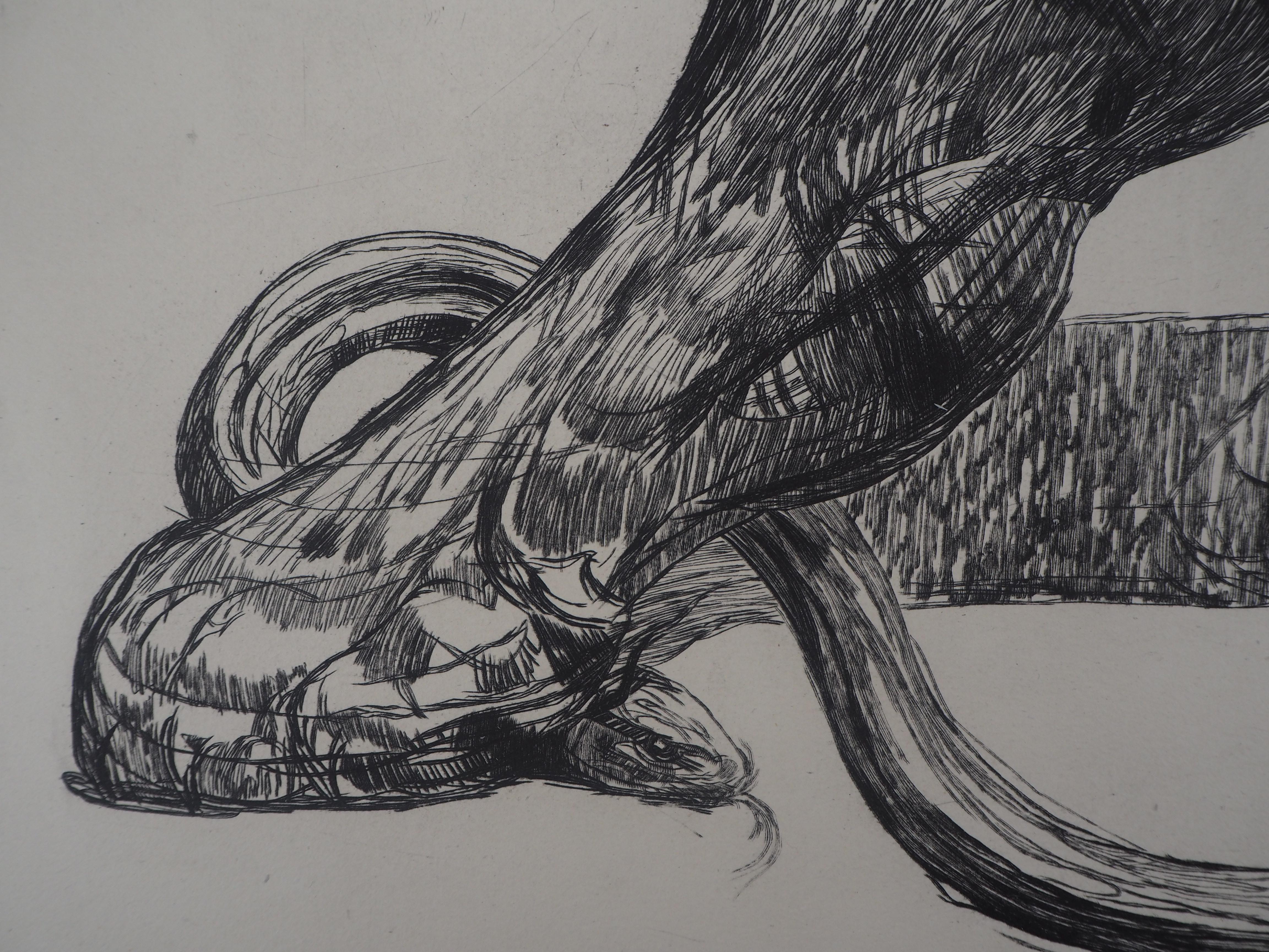 Jaguar attrapant un serpent - Gravure originale en vente 2