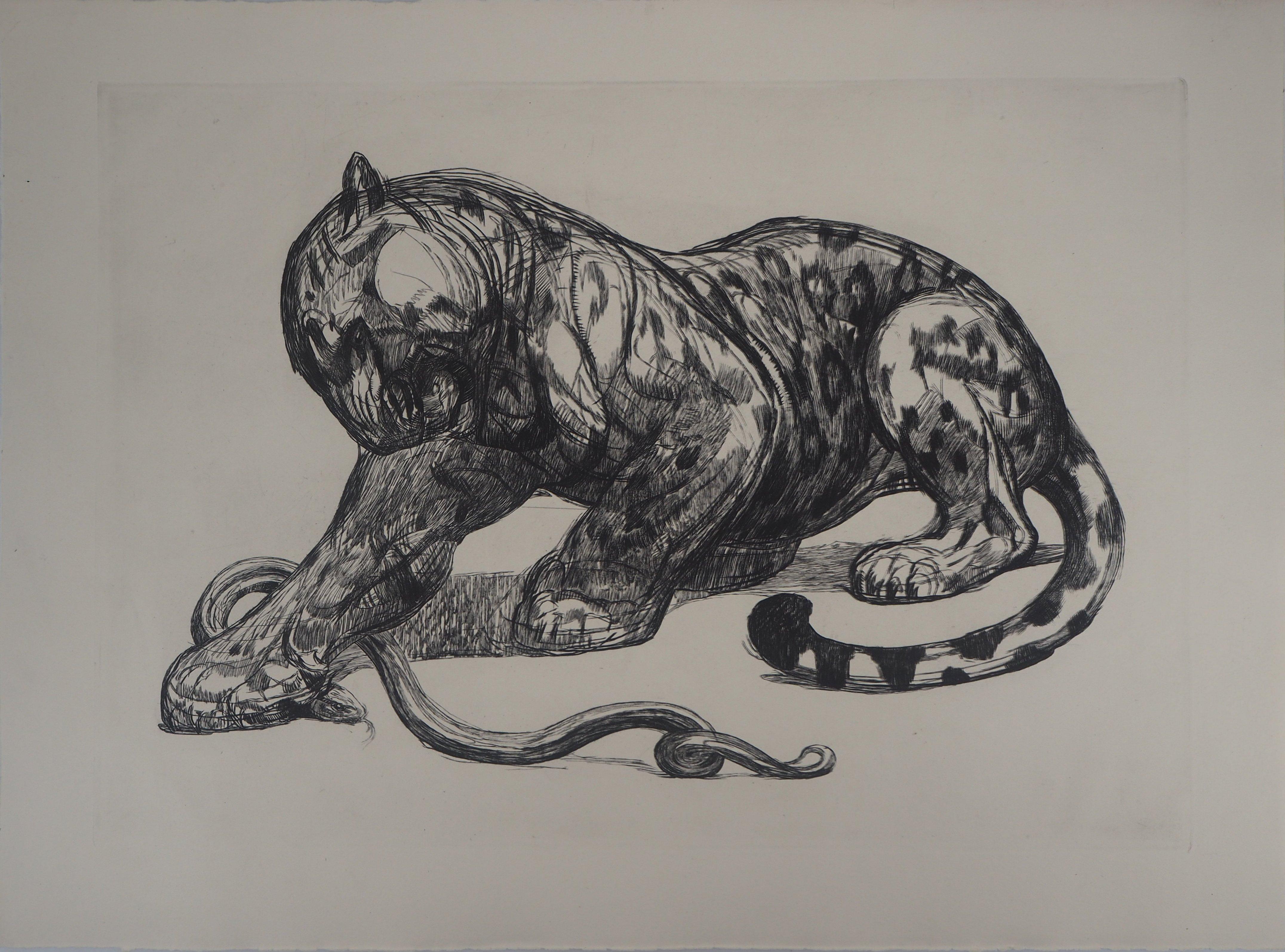 Jaguar attrapant un serpent - Gravure originale