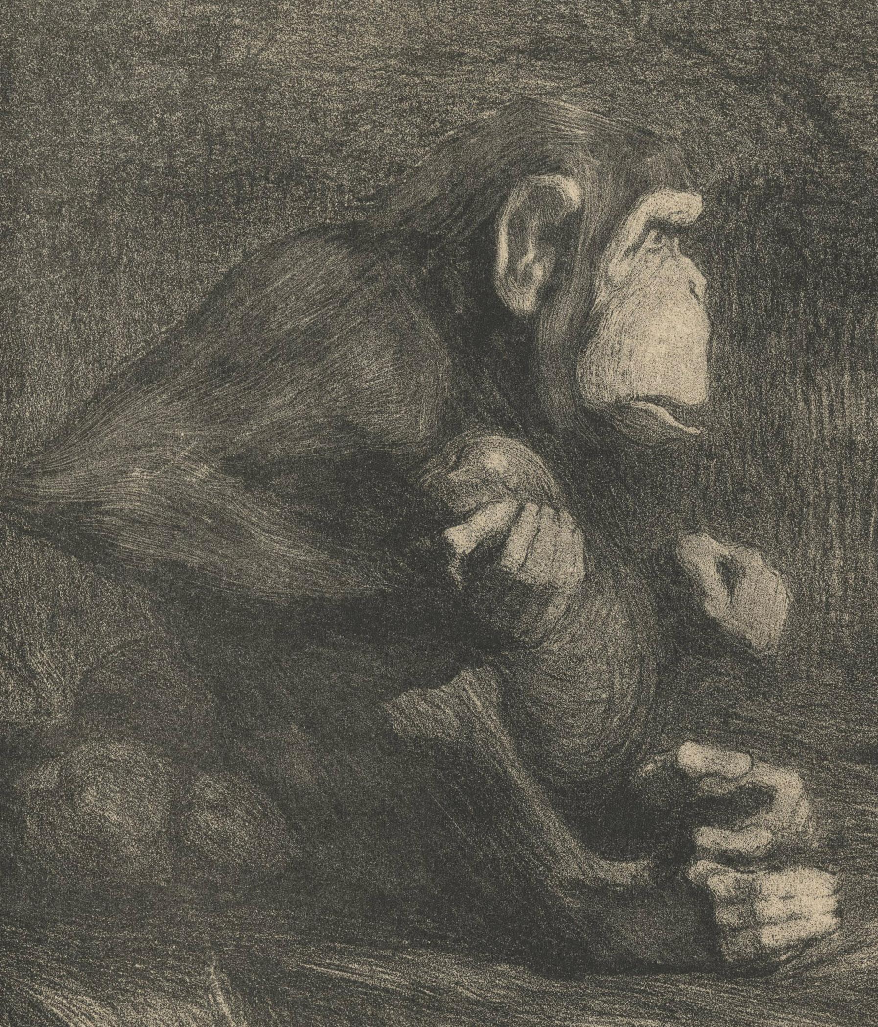 Le Judgement de Paris ouf famille singe - Print by Pierre-Paul Jouve