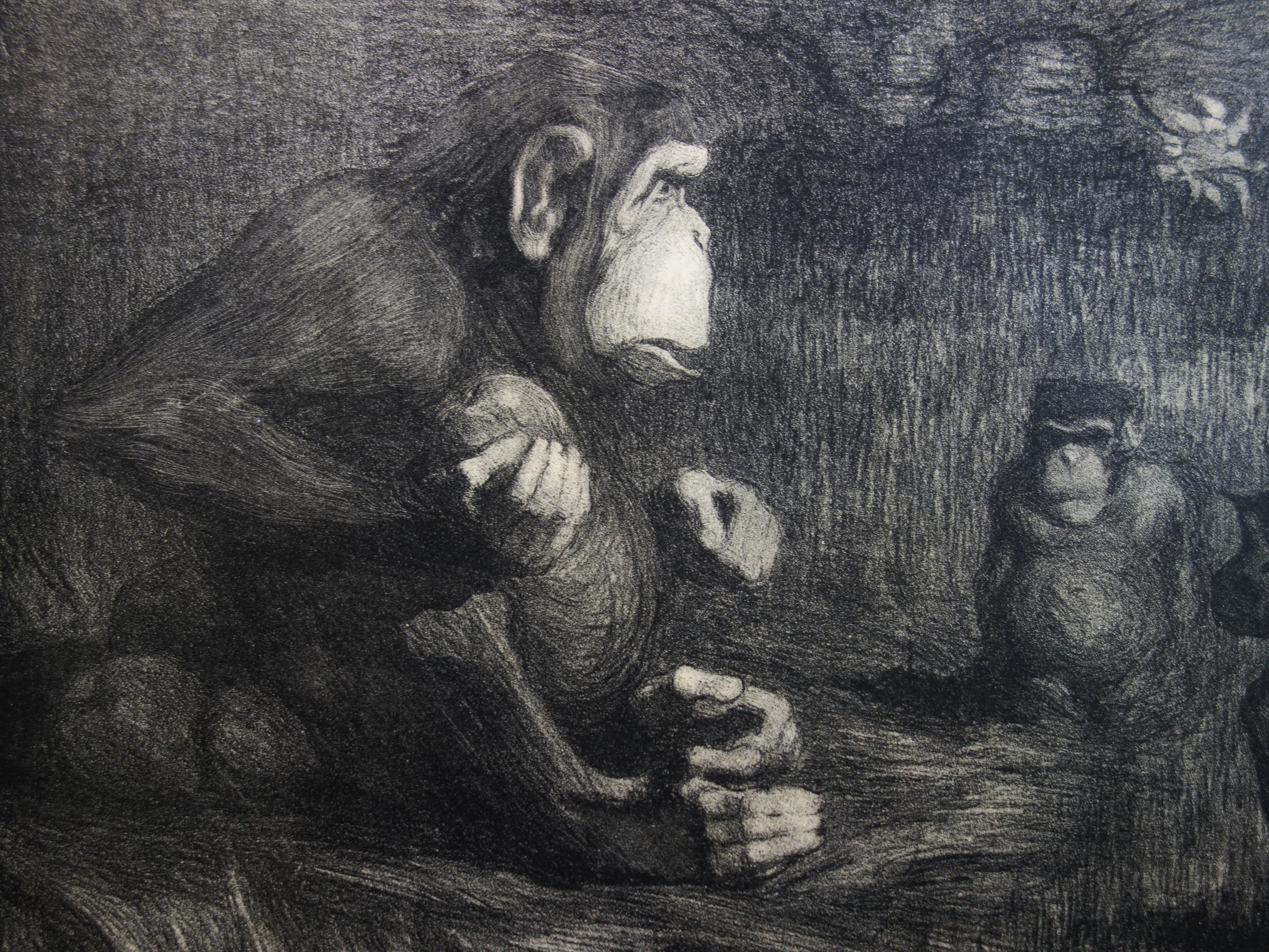 Monkey Business : The Judgment of Paris - Original lithograph, 1897 - Black Figurative Print by Pierre-Paul Jouve