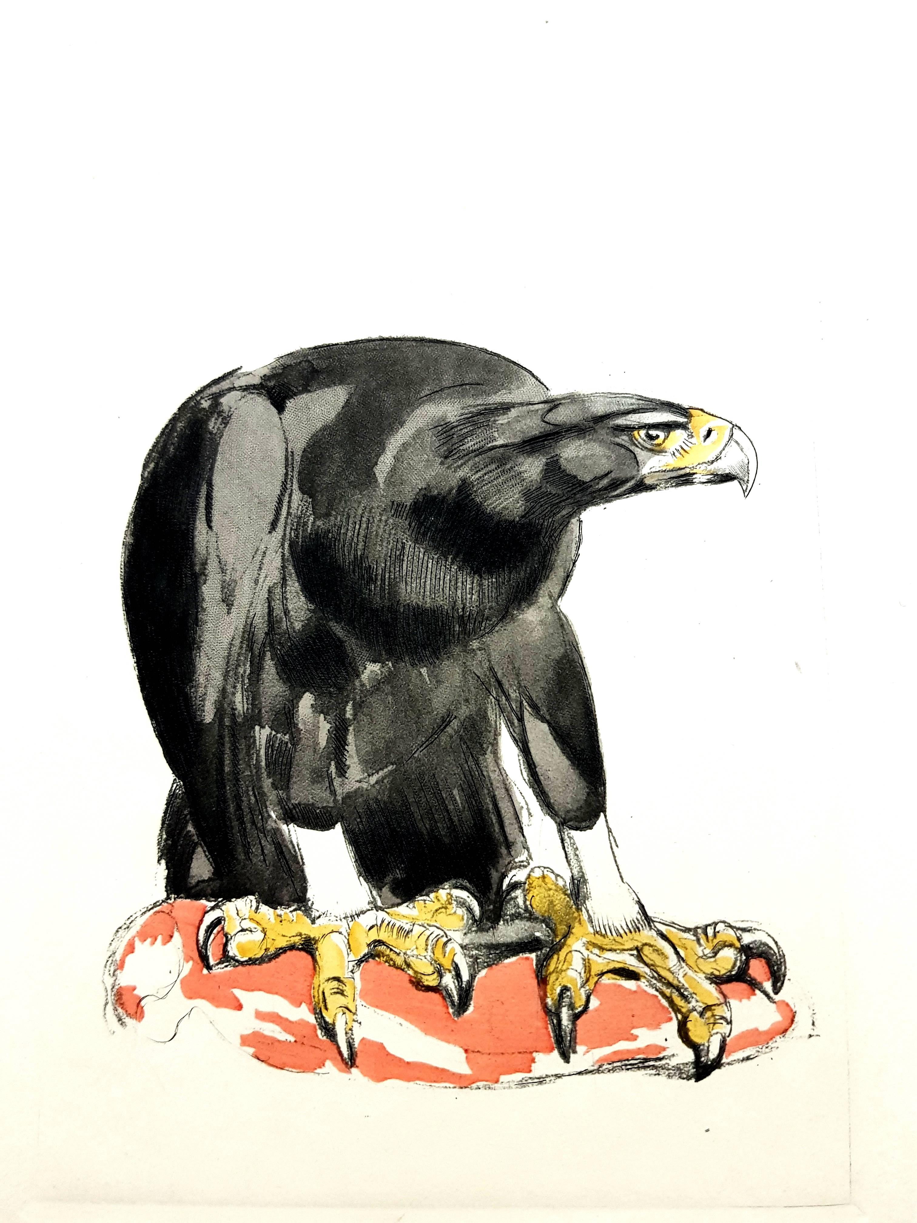 Pierre-Paul Jouve Animal Print - Paul Jouve - Eagle - Original Engraving