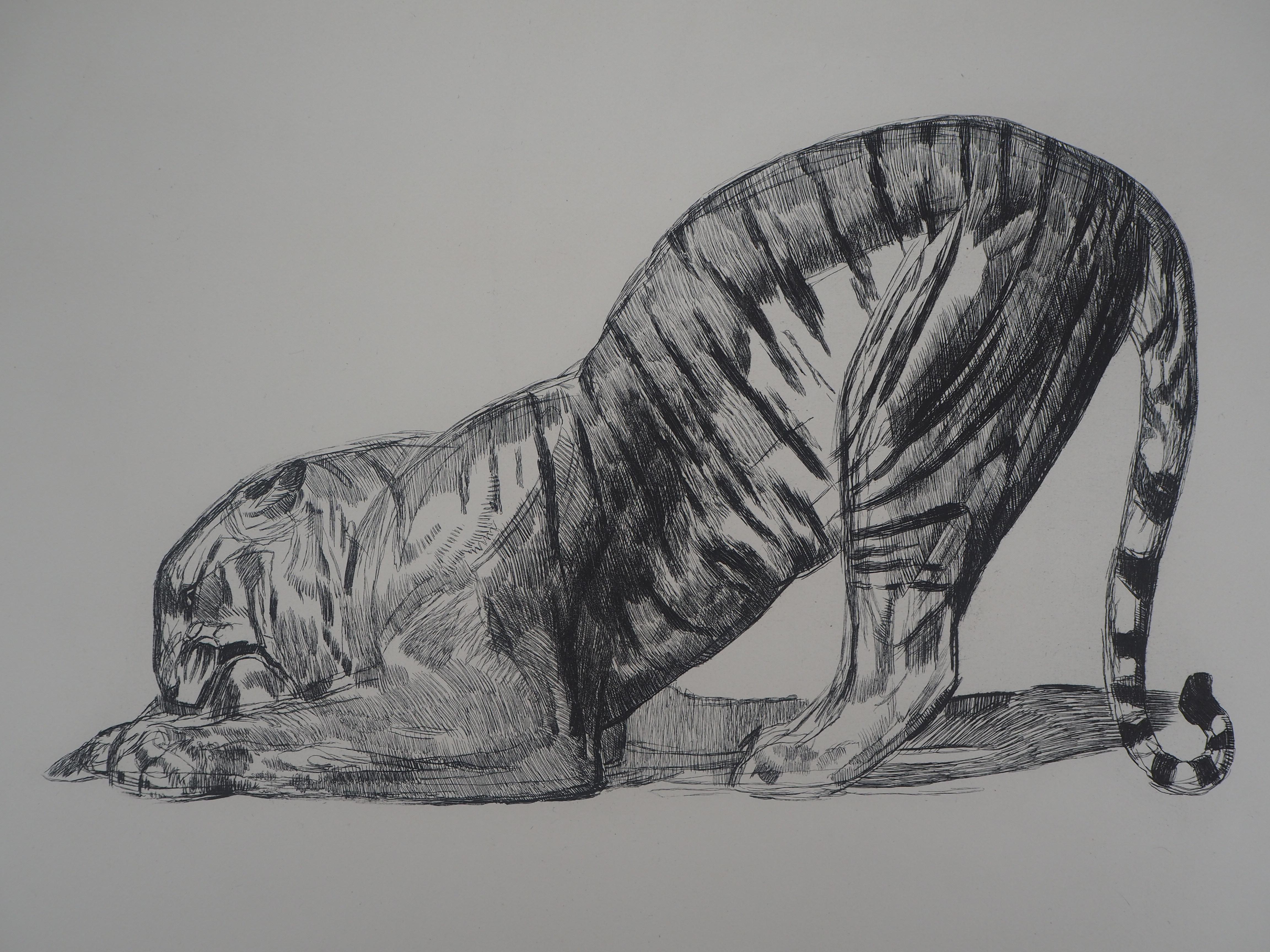 Tiger Eating - Original etching (Marcilhac #370) - Print by Pierre-Paul Jouve