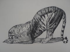 Tiger Eating - Original etching (Marcilhac #370)