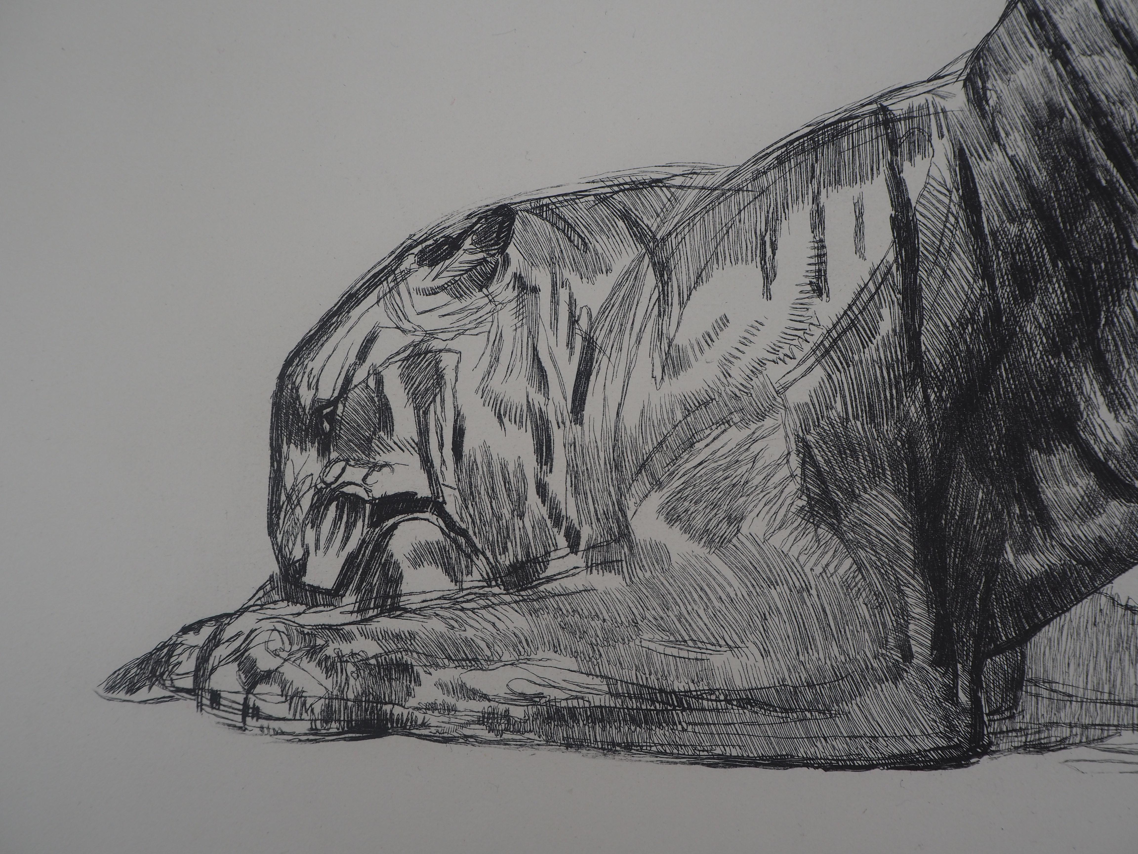 Tiger-Esszimmer – Original-Radierung (Marcilhac #370) (Grau), Animal Print, von Pierre-Paul Jouve