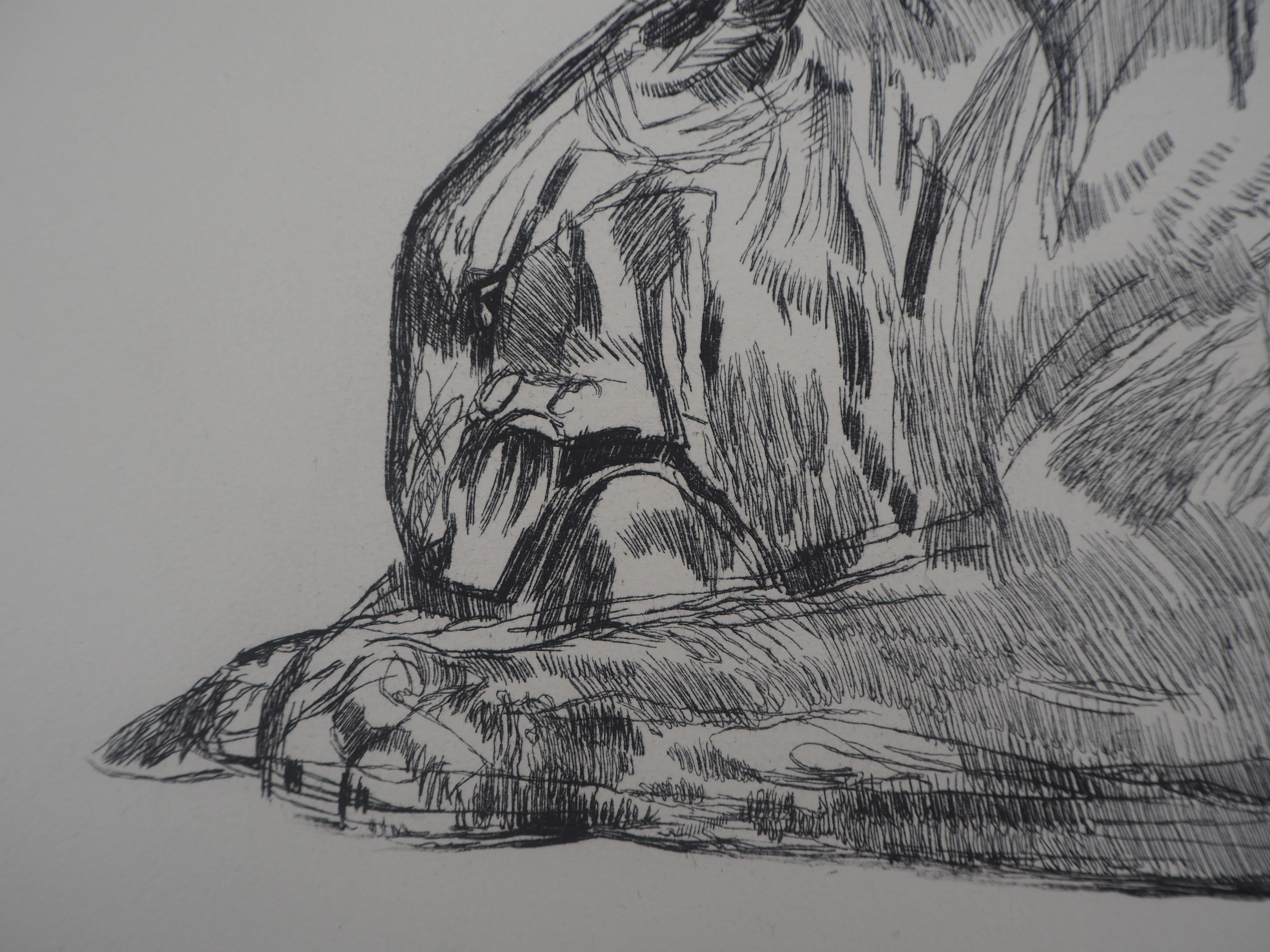 Tiger Eating - Original etching (Marcilhac #370) For Sale 1