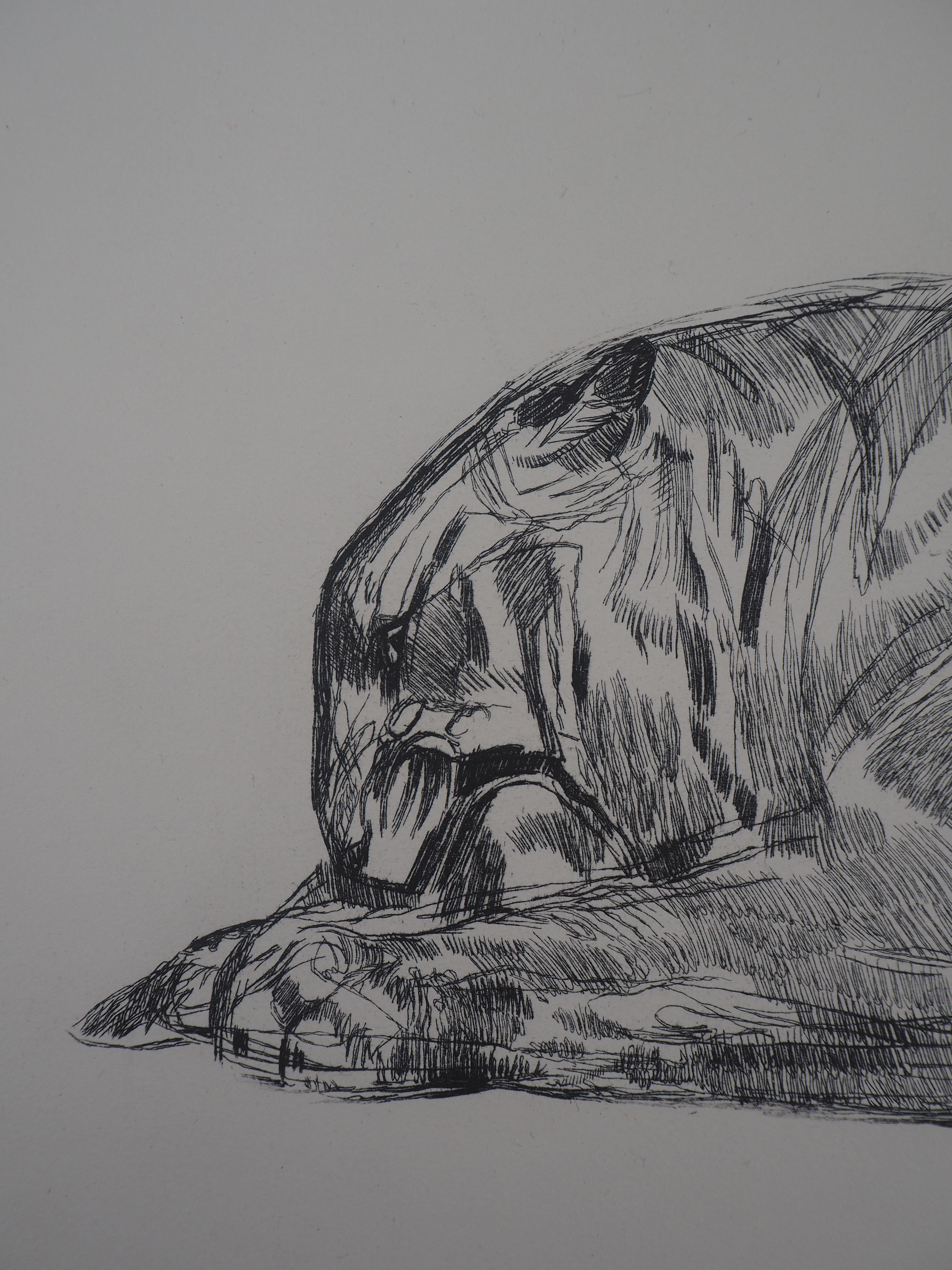 Tiger Eating - Original etching (Marcilhac #370) For Sale 3