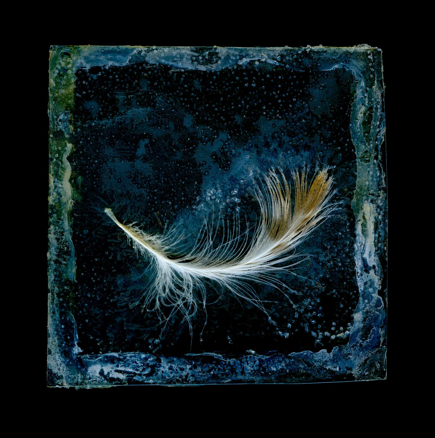 Paul Kenny Abstract Print - Sketch for a Down Feather Work, Uisken, Custom mounted and framed artwork