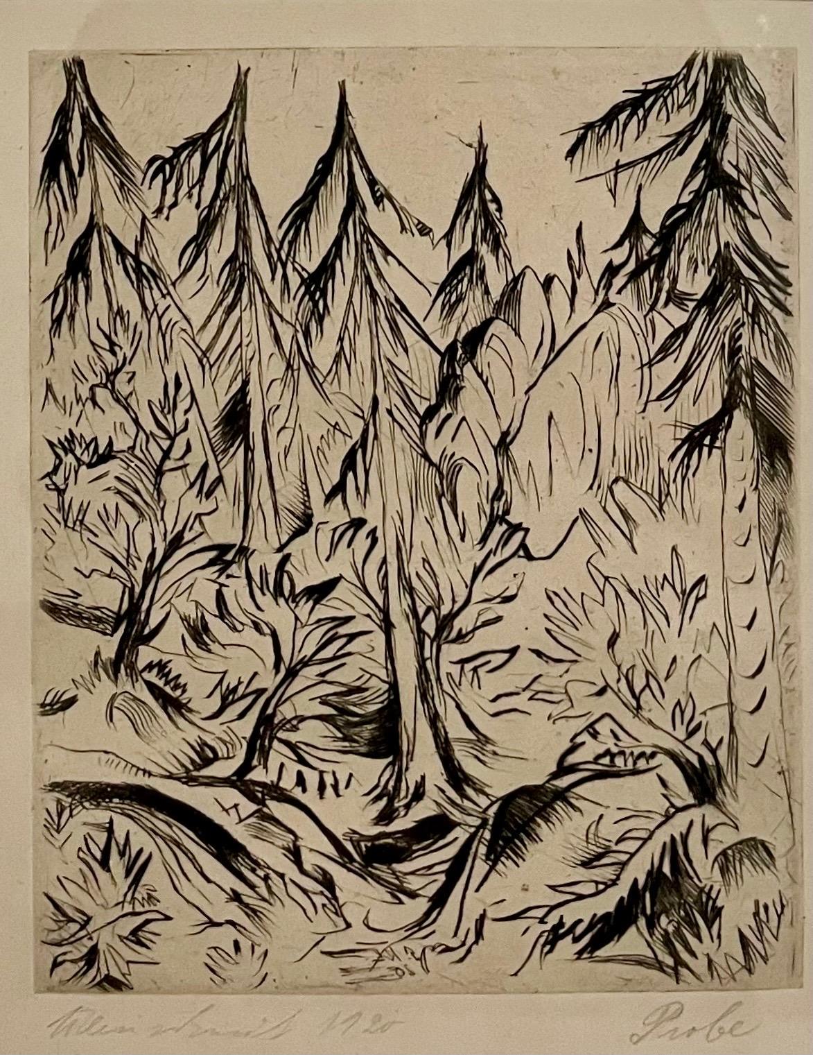 1920 Litografía figurativa expresionista alemana 