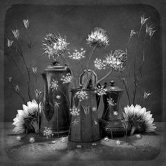 Paper Black and White Photography