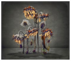 Stage Whispers (The Passion): Limited Ed Still Life Photograph by Paul Knight