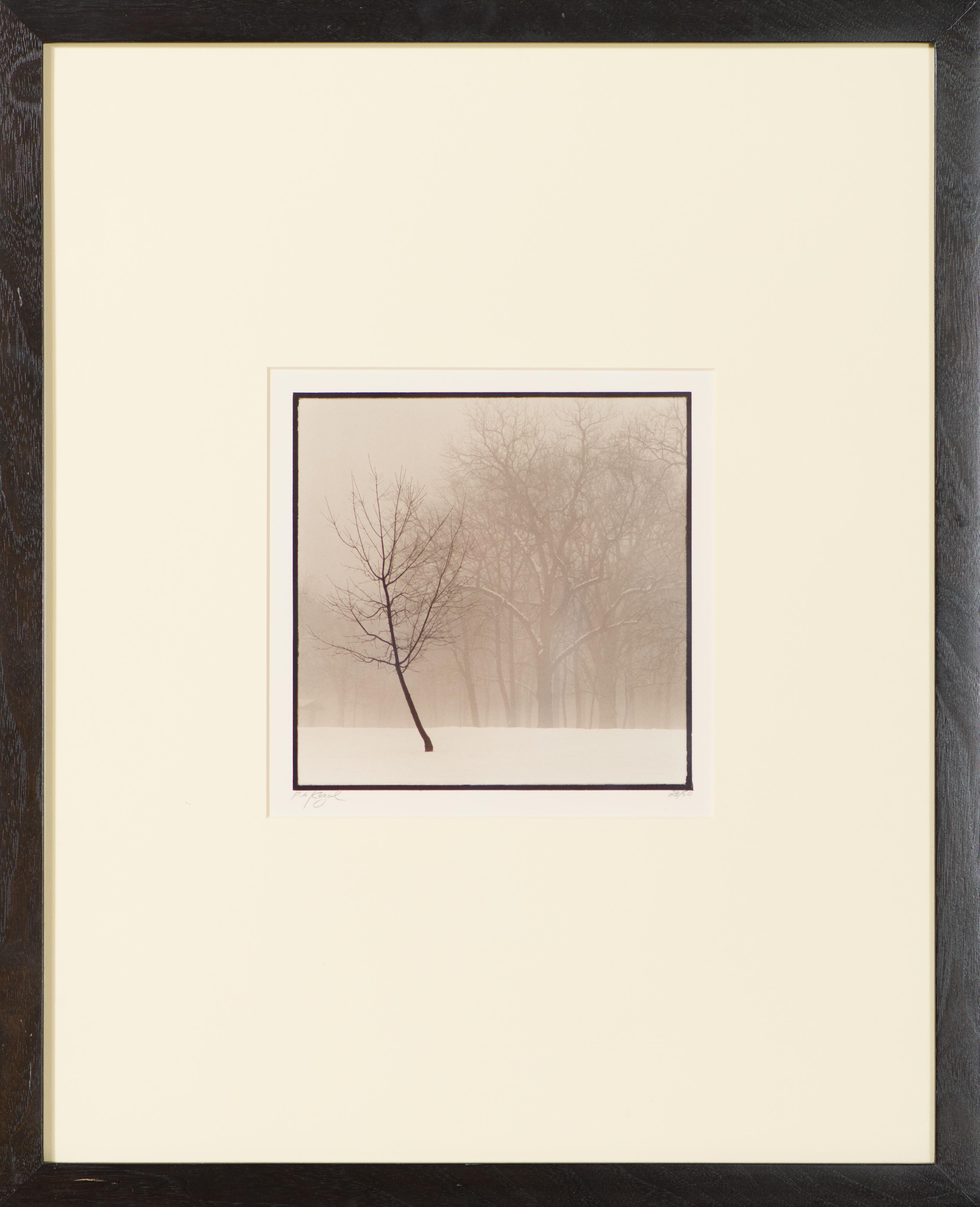 Paul Kozal Black and White Photograph – Winter in Palos (Eins)