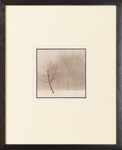 L
hiver à Palos (Un)