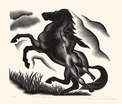 Vintage Black Stallion — unique first trial proof