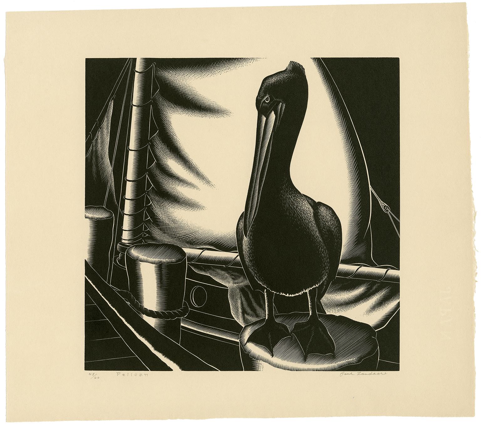 Pelican — Mid-Century Modern - Print by Paul Landacre