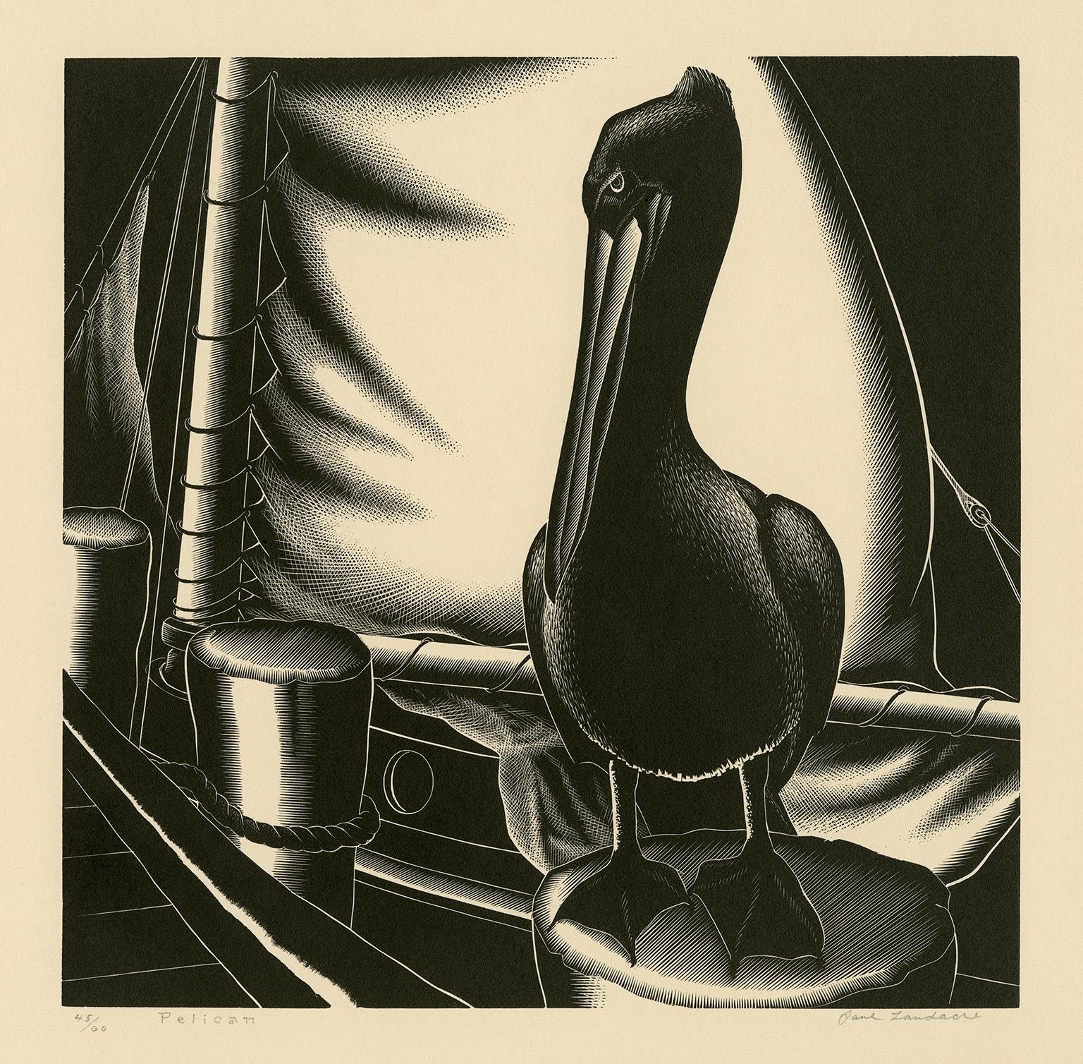 Paul Landacre Figurative Print - Pelican — Mid-Century Modern
