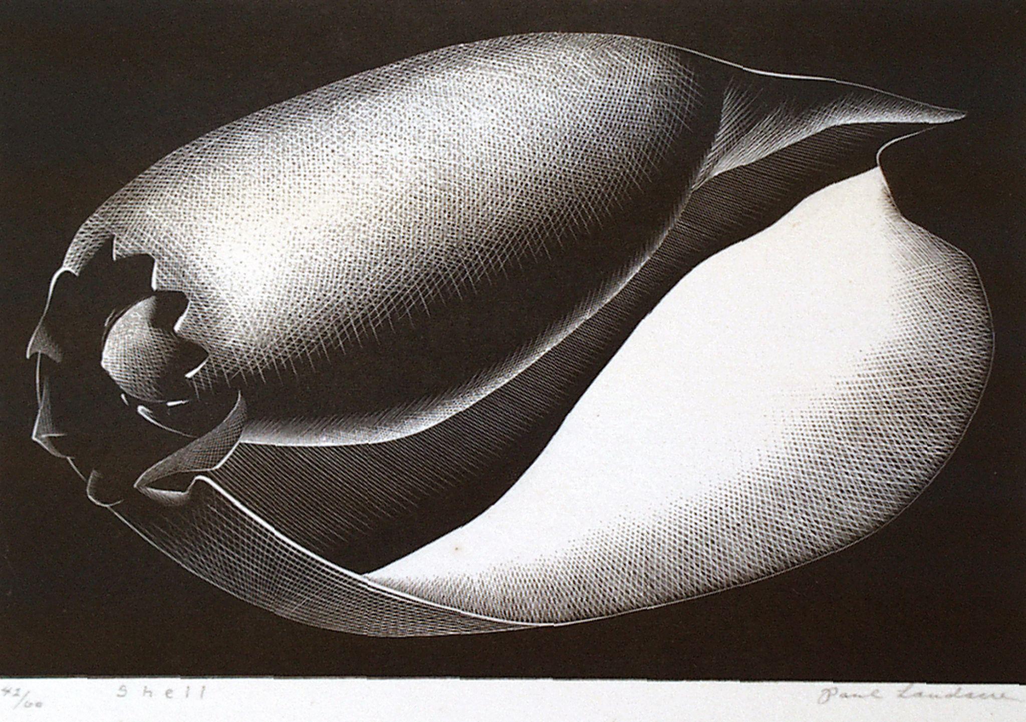 Paul Landacre Still-Life Print - Shell