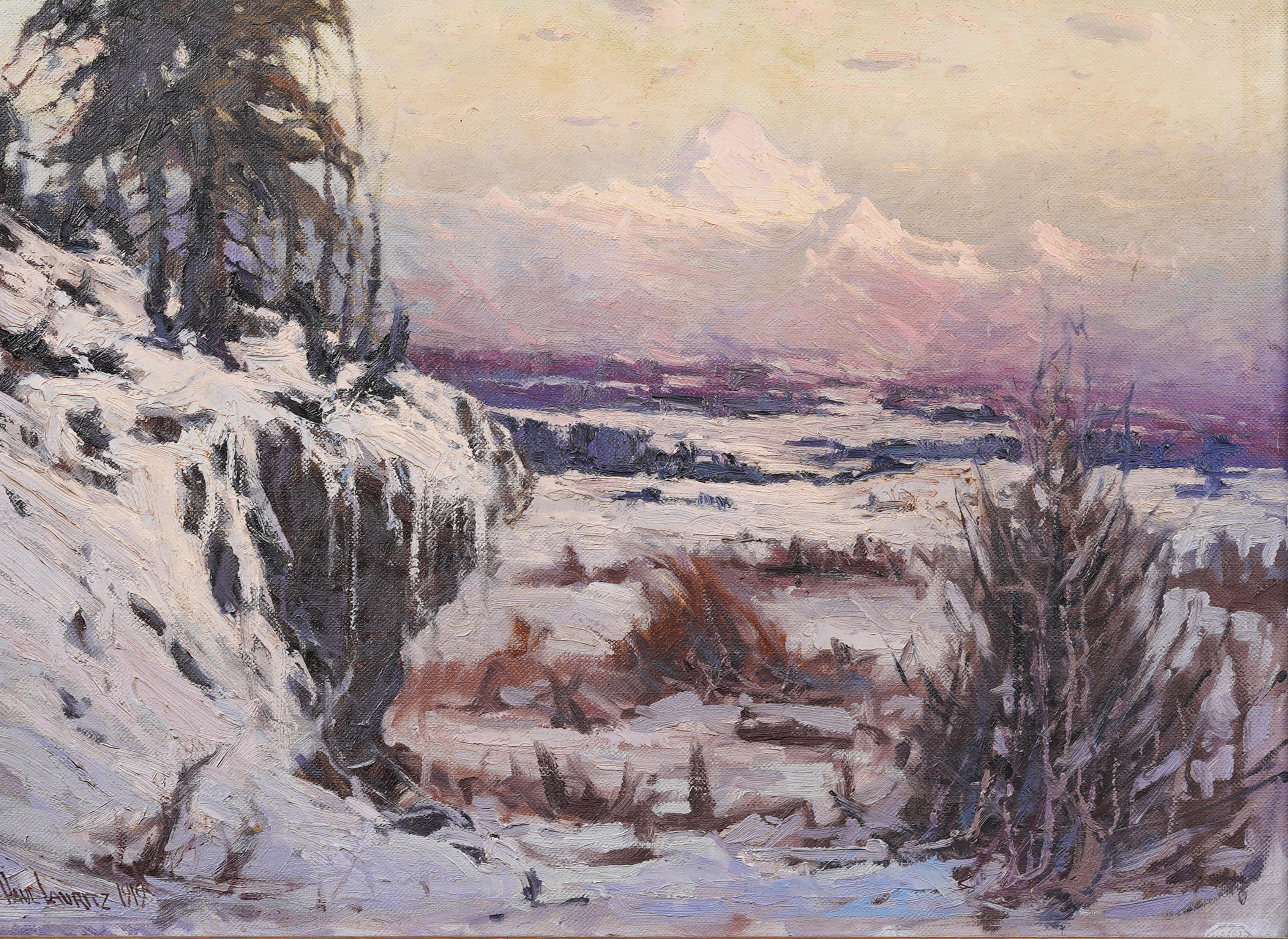 Paesaggio invernale impressionista americano del monte Denali in Alaska, finemente dipinto da Paul Lauritz (1889 - 1975).  Olio su tela.   Colore e composizione eccellenti.  Custodito in una cornice d'epoca Newcomb Macklin.  Firmato.  Dimensioni