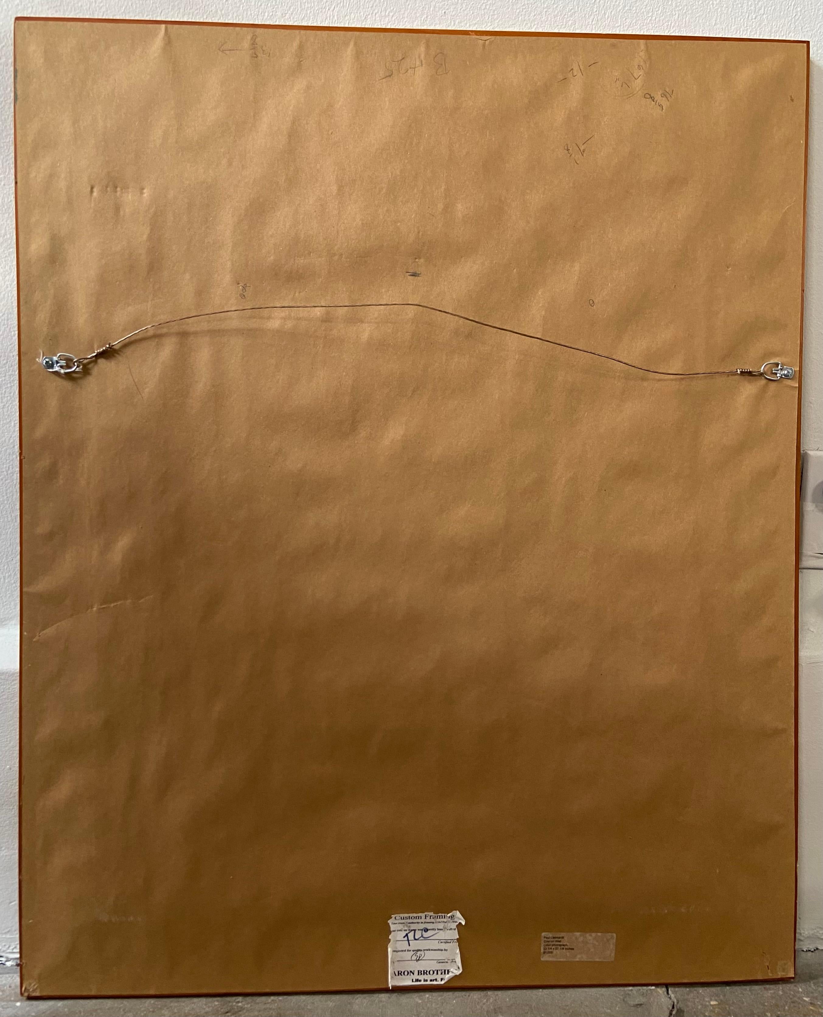 Vache sur le mur - Photograph de Paul Liebhardt