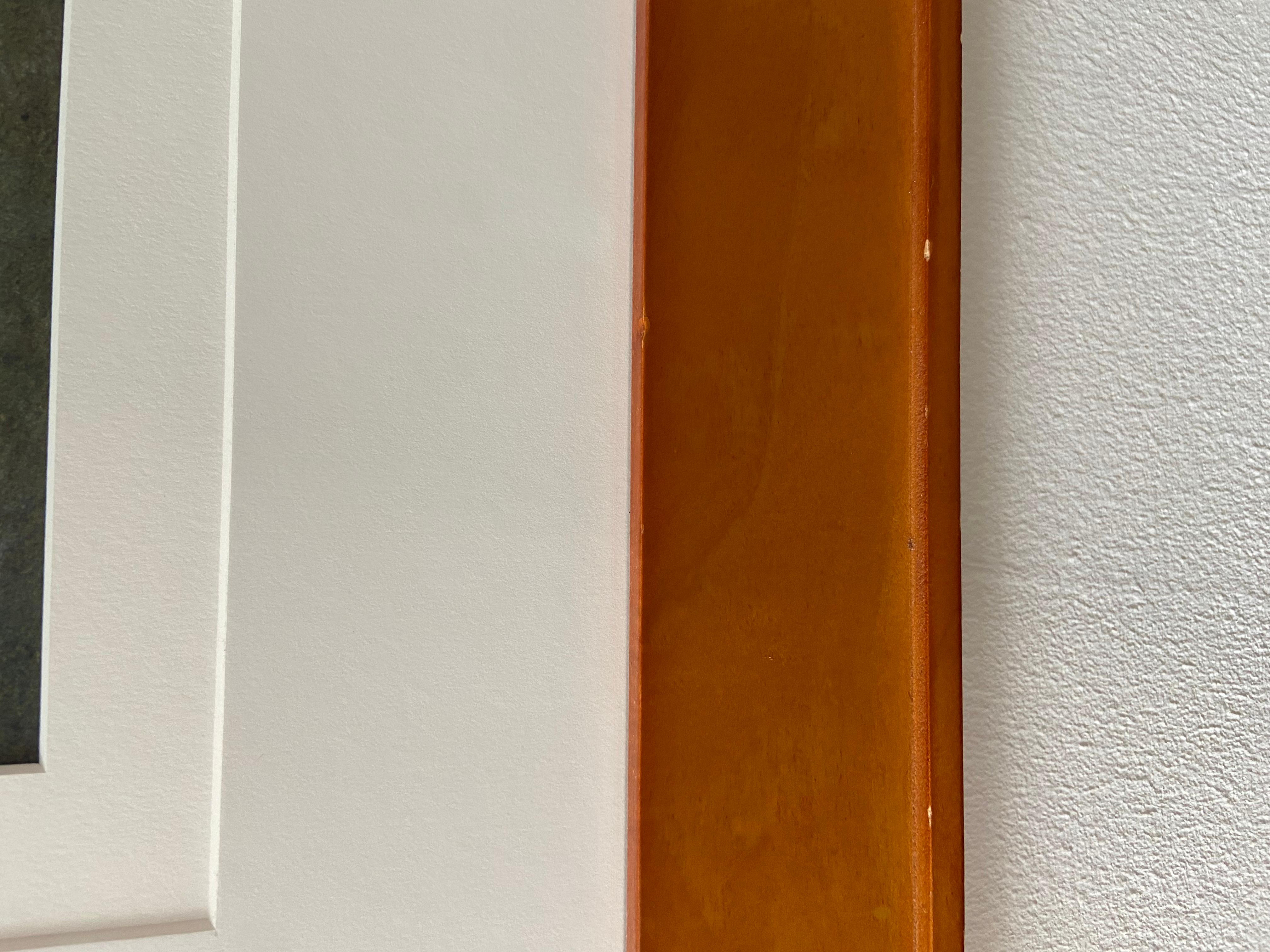 Vache sur le mur - Contemporain Photograph par Paul Liebhardt
