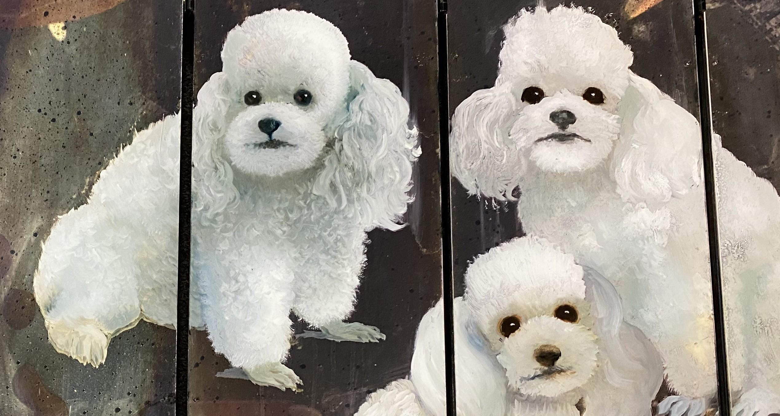 An oil on mirrored plexiglass of three miniature white poodles, probably Bichon Frisé breed, mounted on a four part folding screen by American artist Paul Longenecker (1920-2008). Longenecker was born in Rockville Center, NY, enrolled in the