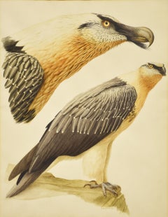 Paul-Louis Barruel Watercolour on Paper