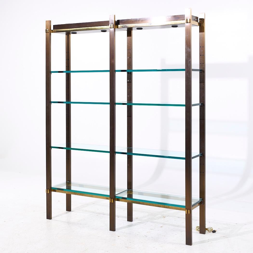 Mid-Century moderno Paul M. Jones Scaffale a doppia illuminazione MCM in bronzo, ottone e vetro in vendita